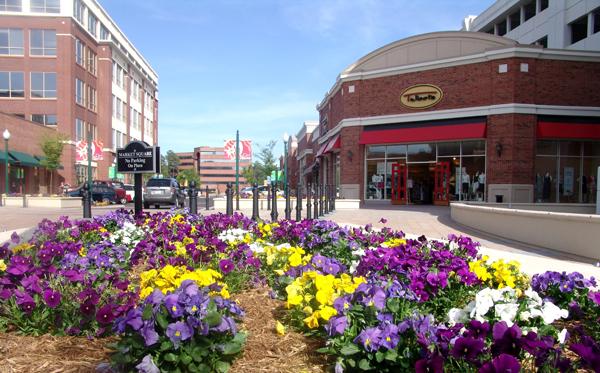 City Center Oyster Point dan Perannya dalam Membentuk Lingkungan Kerja Modern